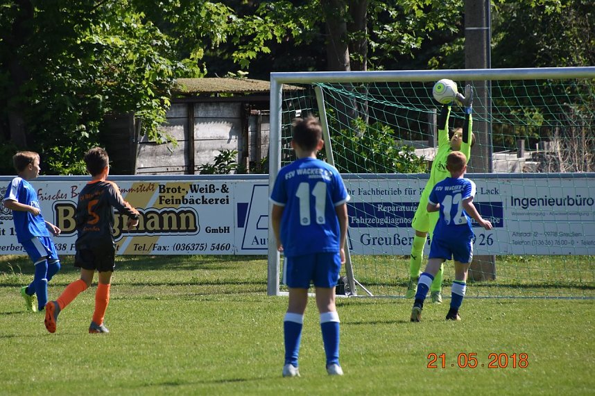 U 11 lie&szlig; in Greu&szlig;en Federn