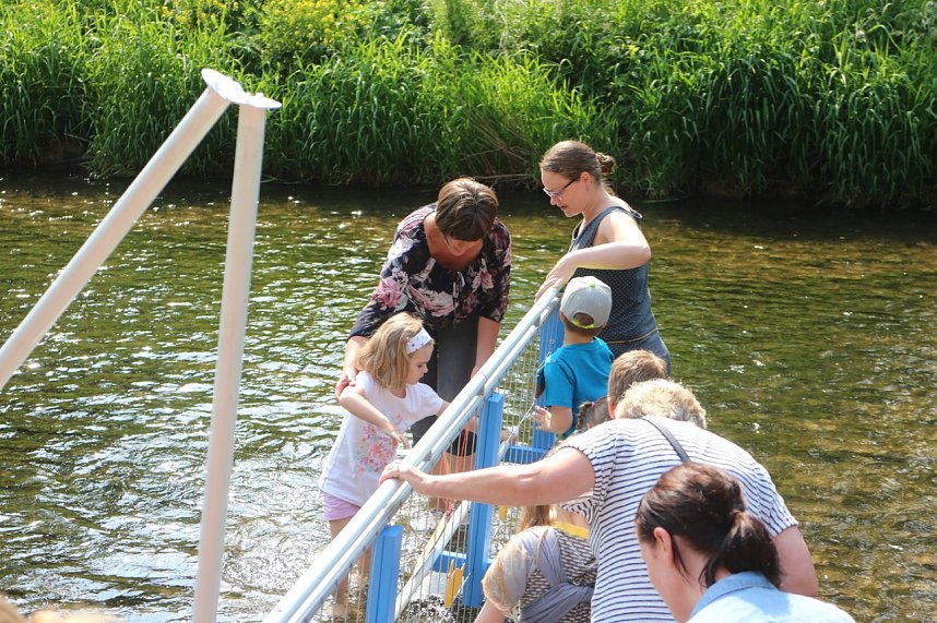 Anwassern an der Zorge