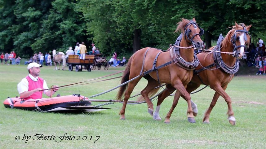 Vorbereitungen f&uuml;r Ponyschau laufen