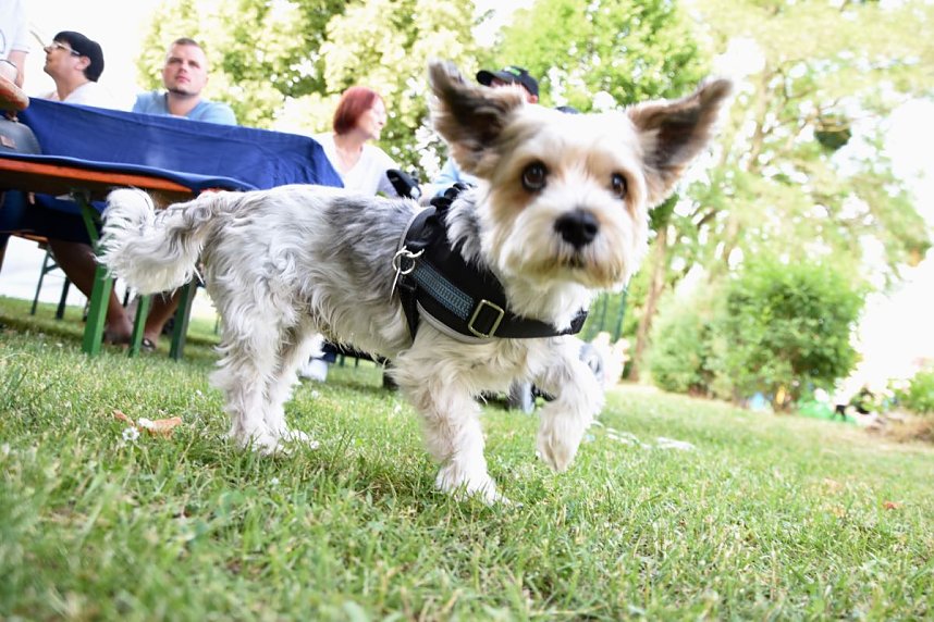 WBG Fest in Bleicherode