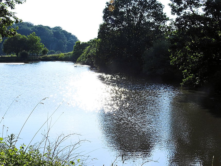 Natur pur bei am Neust&auml;dter Rosenteich