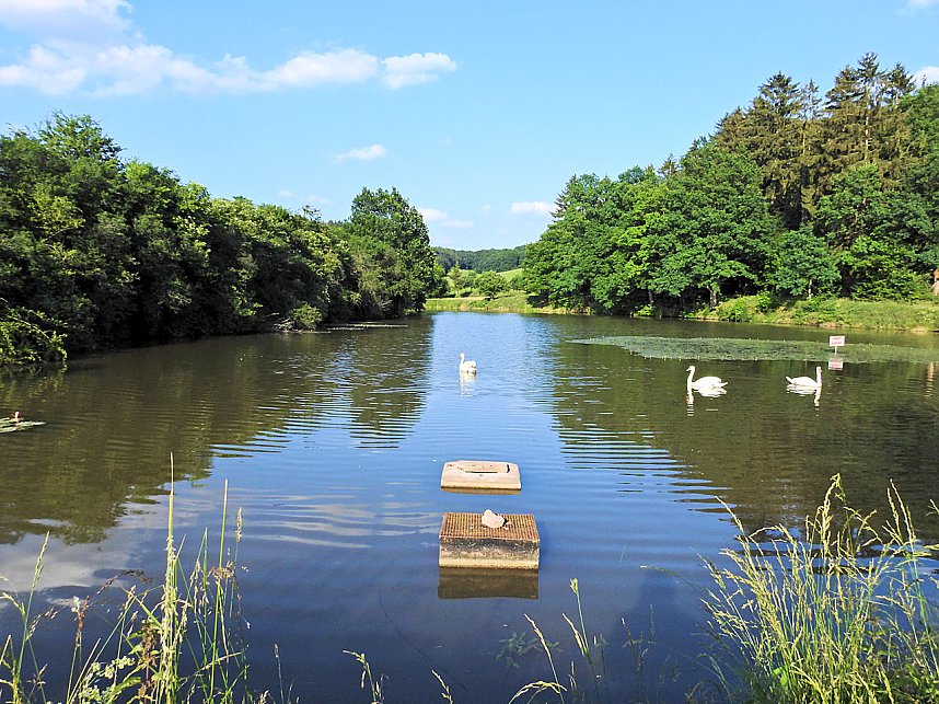 Natur pur bei am Neust&auml;dter Rosenteich