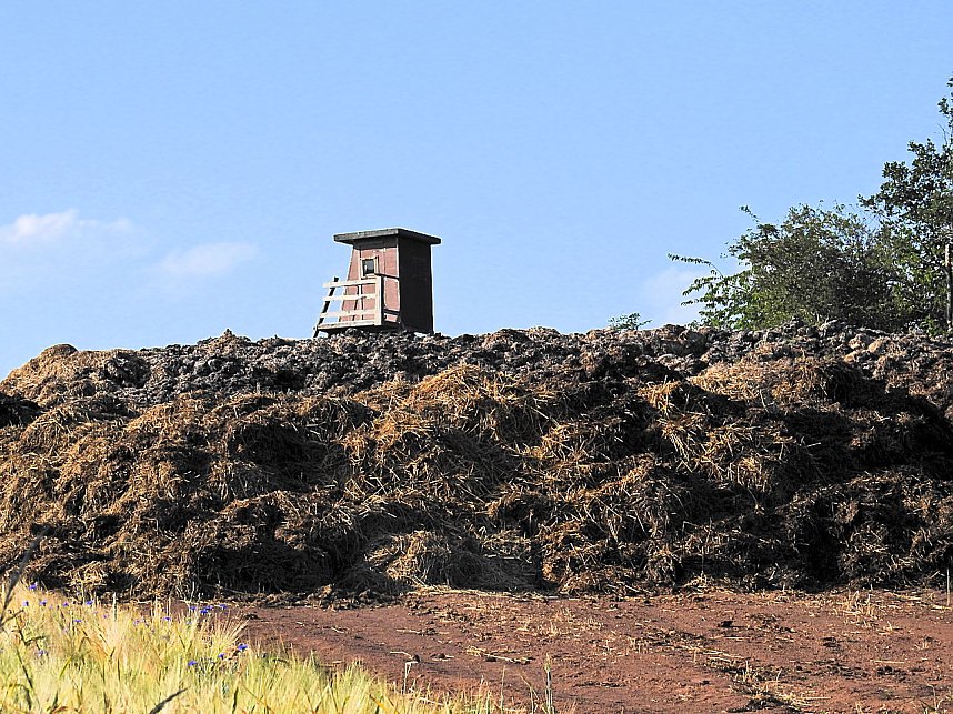 Natur pur bei am Neust&auml;dter Rosenteich