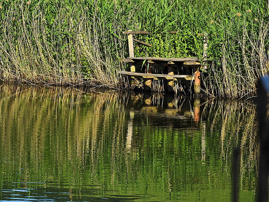 Natur pur bei am Neust&auml;dter Rosenteich