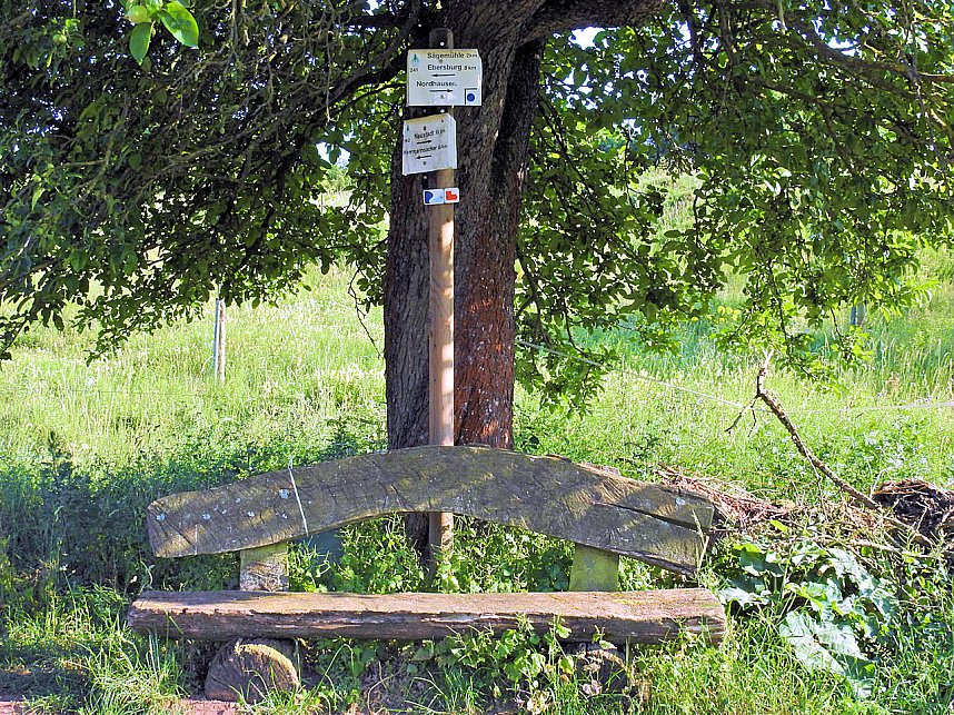 Natur pur bei am Neust&auml;dter Rosenteich