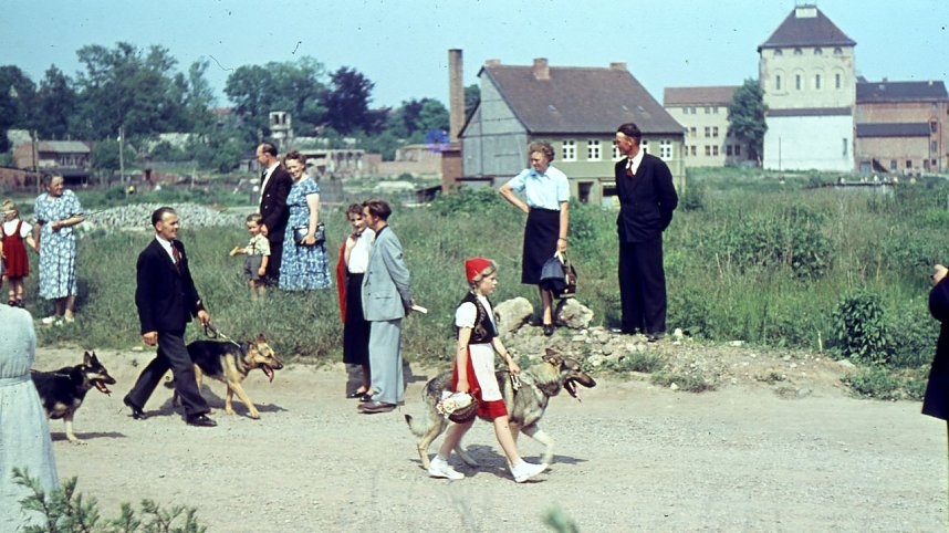 Erstes Rolandsfest 1955