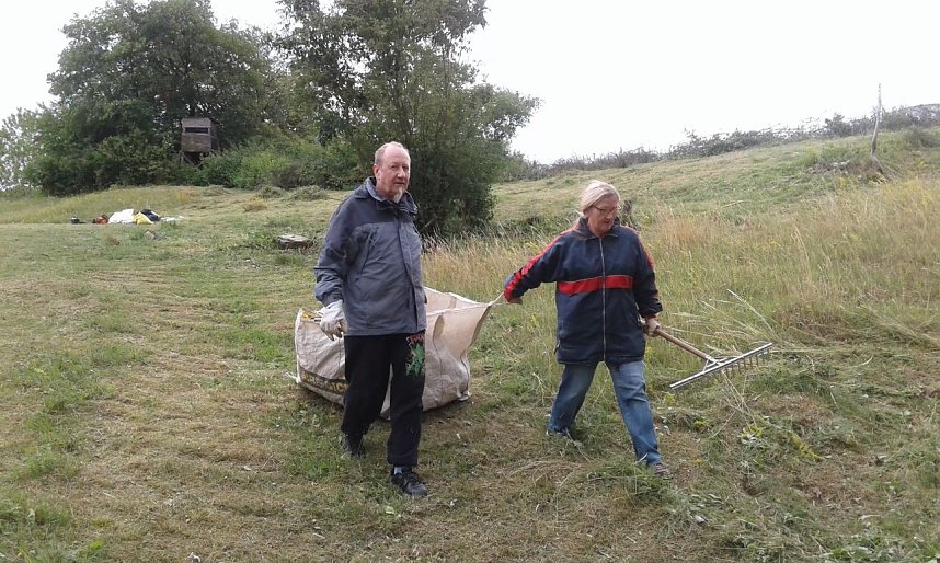 Gegen das Insektensterben