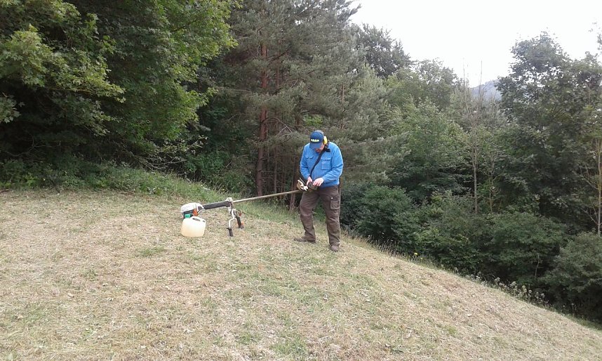 Gegen das Insektensterben