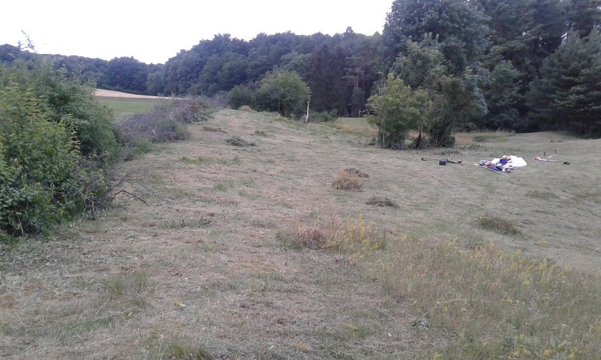 Gegen das Insektensterben