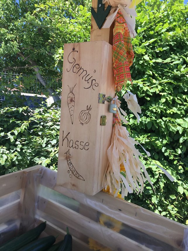 Frische Bioware aus dem Gartenbau Salza