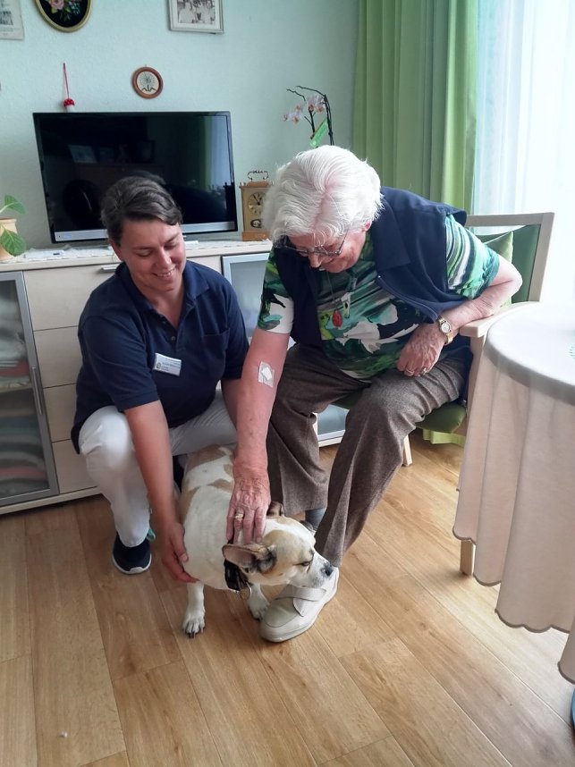 Der Juni im Sonnenhof