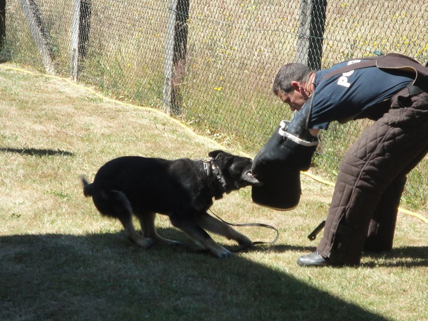 Polizeieinsatz in Klettenberg
