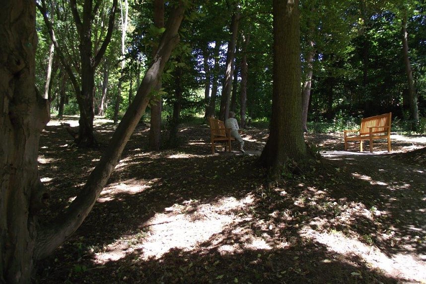 Noch gr&uuml;nt es im Park Hohenrode