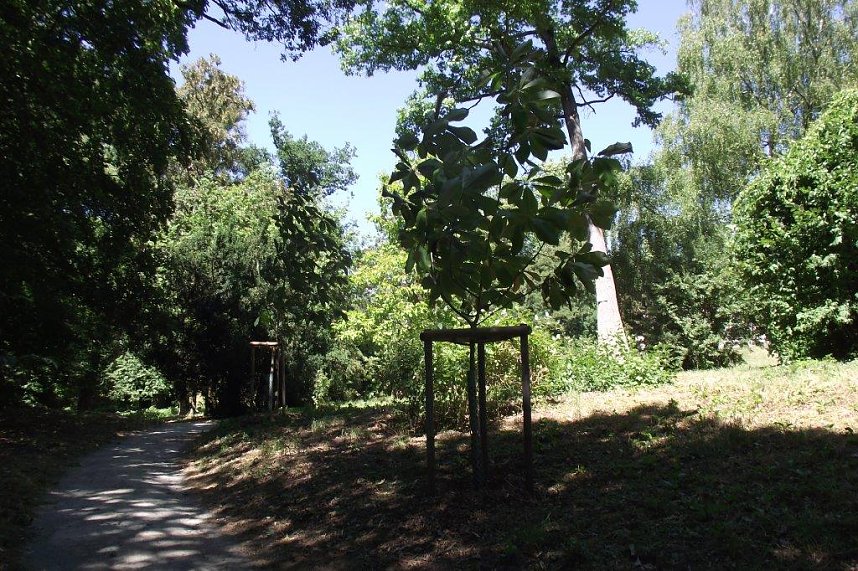 Noch gr&uuml;nt es im Park Hohenrode