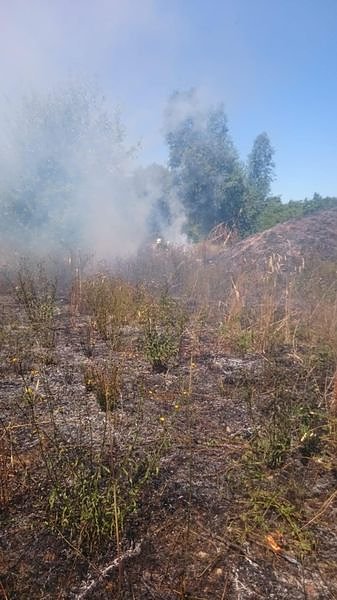 Brand in ehemaliger Kiesgrube