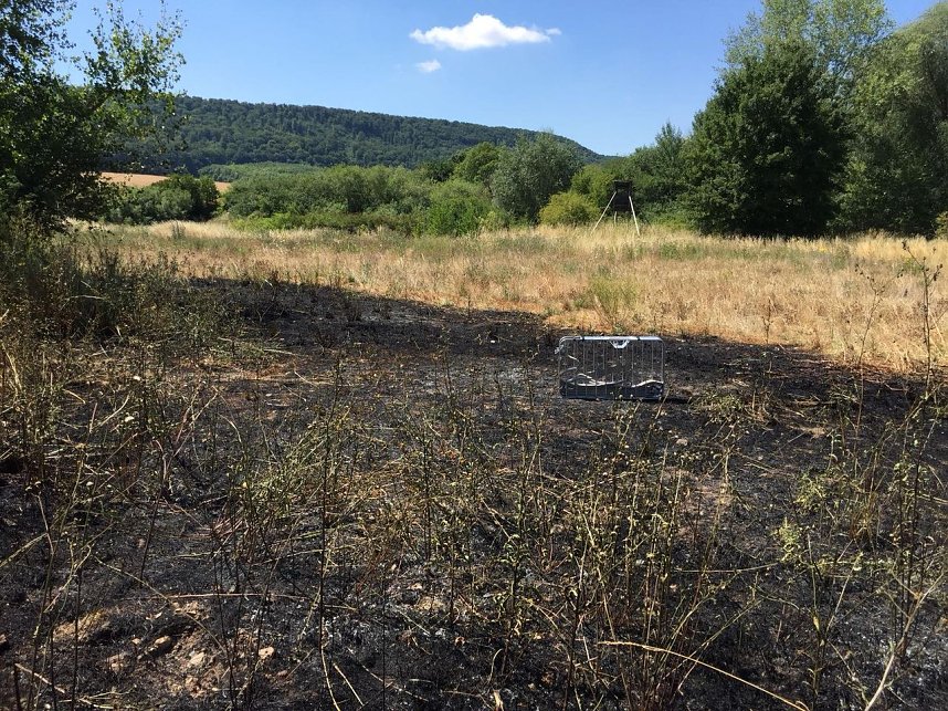 Brand in ehemaliger Kiesgrube