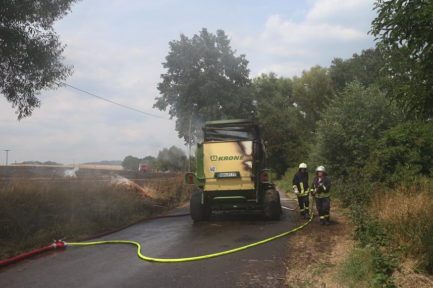 Abgebranntes Feld bei Niedersachswerfen