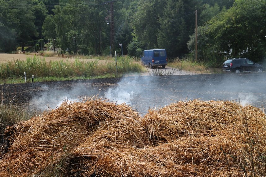 Abgebranntes Feld bei Niedersachswerfen