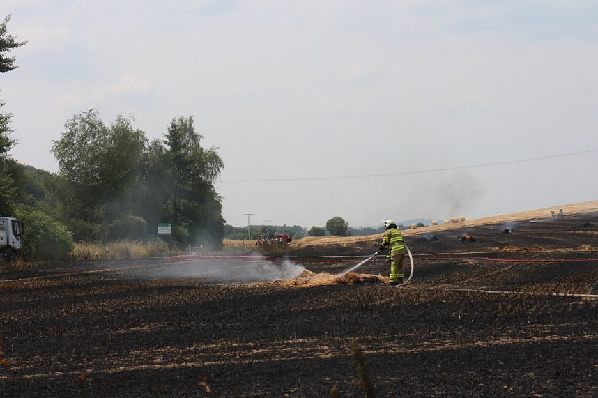 Abgebranntes Feld bei Niedersachswerfen