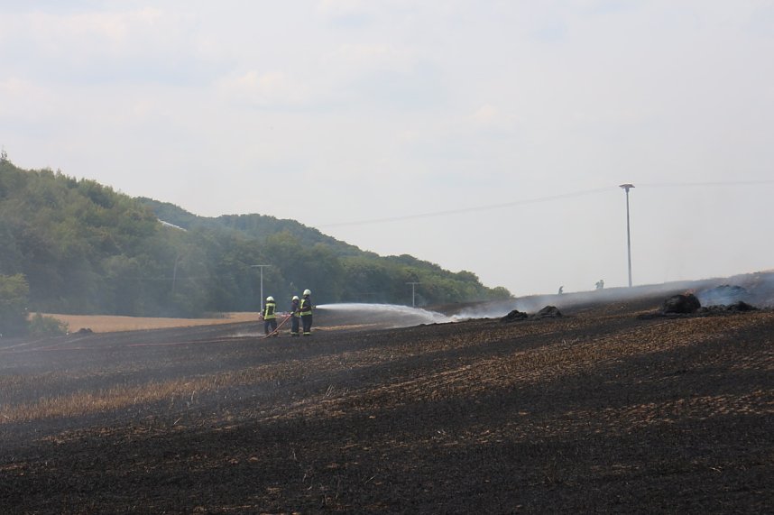 Abgebranntes Feld bei Niedersachswerfen