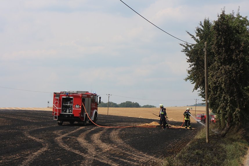 Abgebranntes Feld bei Niedersachswerfen