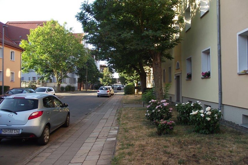  Optisch eine Aufwertung, wirkungsvoll gegen Hitze: Hardenbergstra&szlig;e.