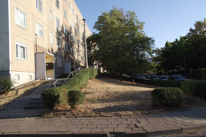 Auch Schattenspender vor den Plattenbauten in der Hardenbergstra&szlig;e.   