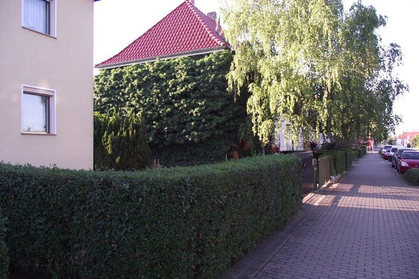 Die  Stirnseite des Hauses in der Bochumer Stra&szlig;e ist vollst&auml;ndig gr&uuml;n.