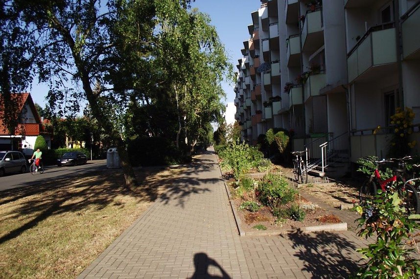 Gut gegen die anhaltende Gluthitze: B&auml;ume am Birkenweg.