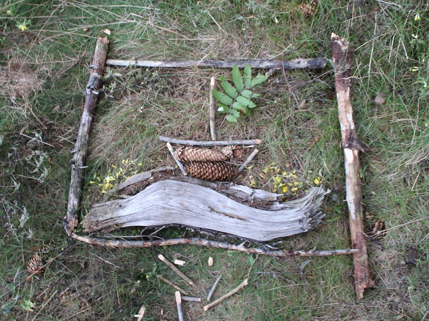 Neues aus Hawaii im Th&uuml;ringer Wald