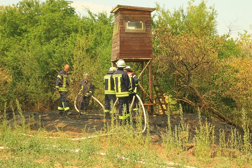 Fl&auml;chenbrand zwischen Gro&szlig;- und Kleinfurra