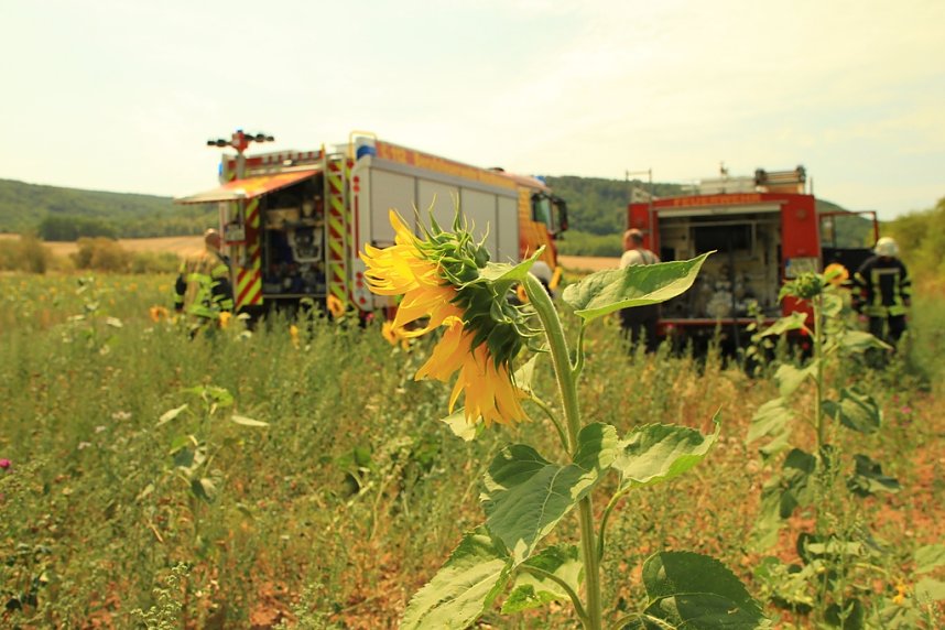 Fl&auml;chenbrand zwischen Gro&szlig;- und Kleinfurra