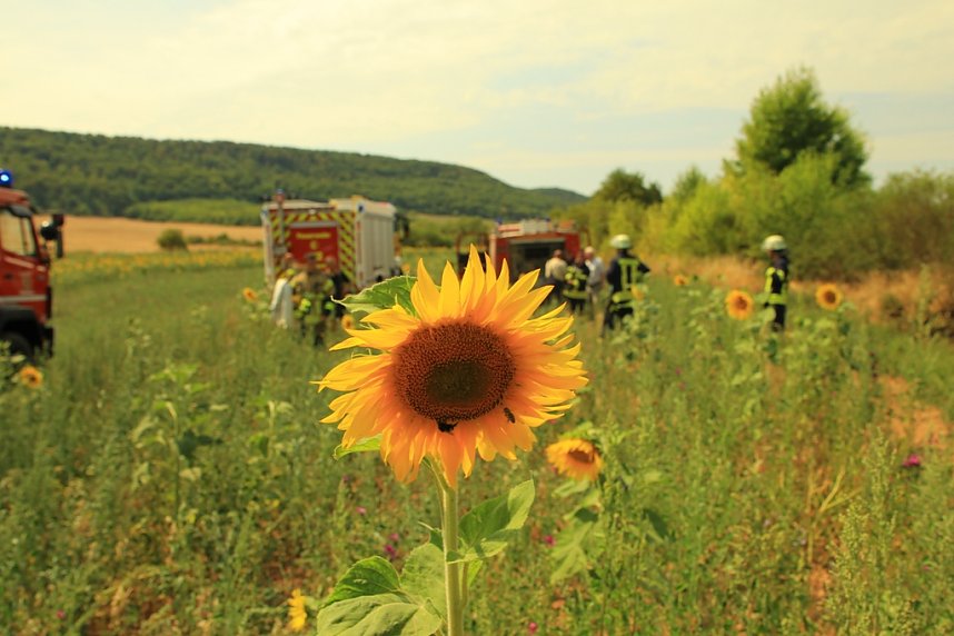 Fl&auml;chenbrand zwischen Gro&szlig;- und Kleinfurra
