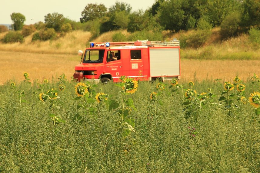 Fl&auml;chenbrand zwischen Gro&szlig;- und Kleinfurra