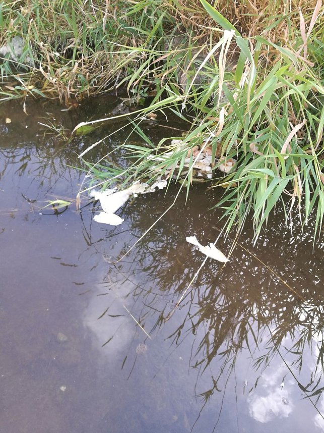 Die Zorge als M&uuml;llkippe und Toilette