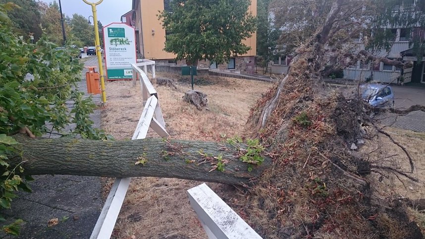 Unwetterschaden am Weinberg