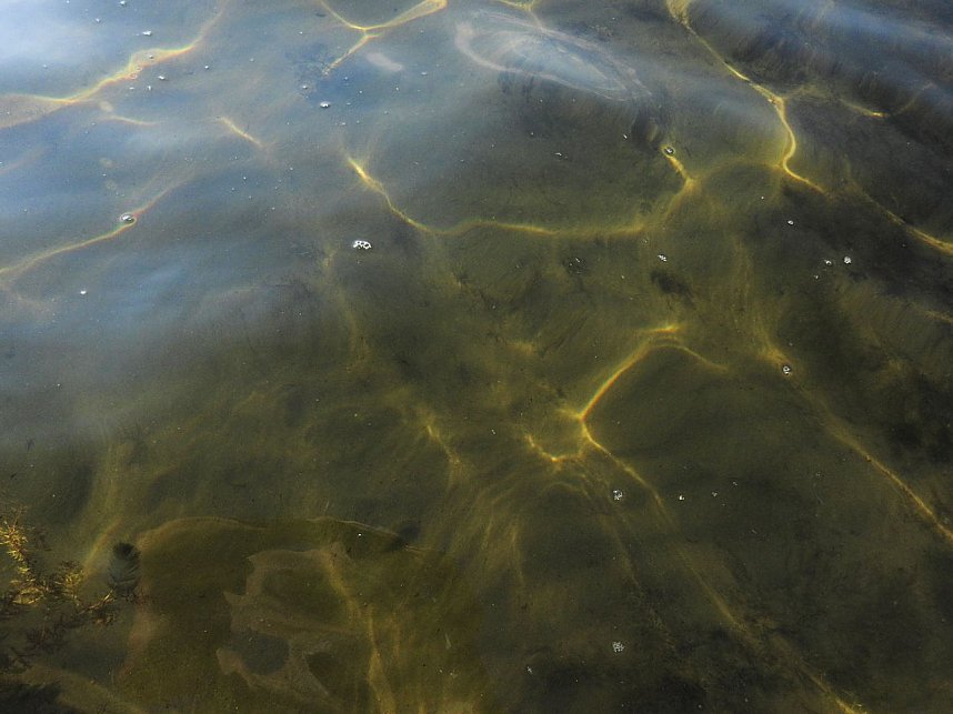 Lichtspiele am Seelhausener See