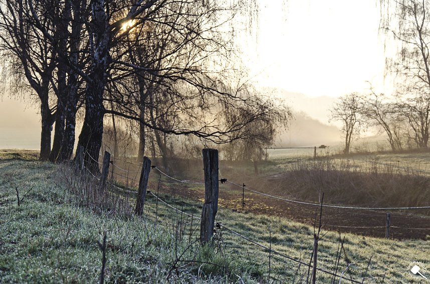 Impressionen entlang der Wanderstrecke