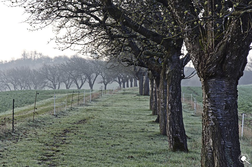 Impressionen entlang der Wanderstrecke