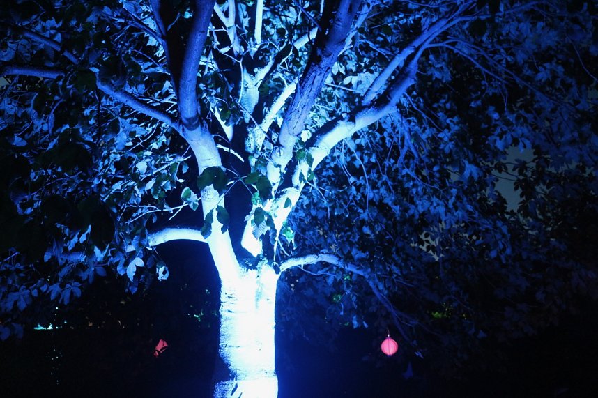 15. Lichterfest auf dem Petersberg