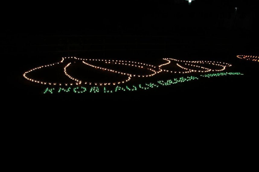 Lichterfest 2018 in Nordhausen