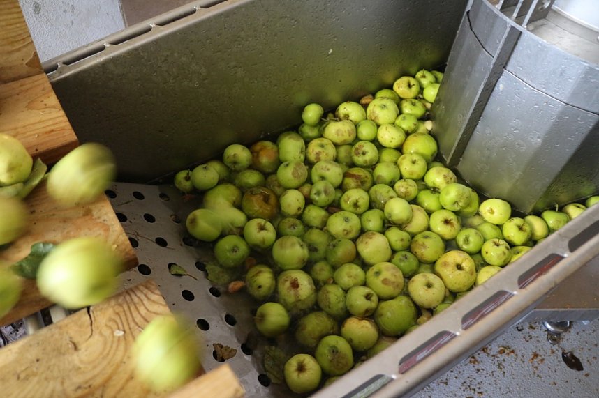 Besuch in der Hofmosterei Harzungen