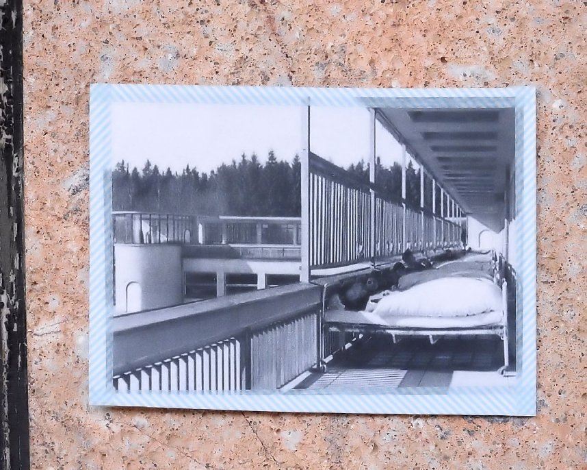 "Freie Feldanlage Harzgerode"