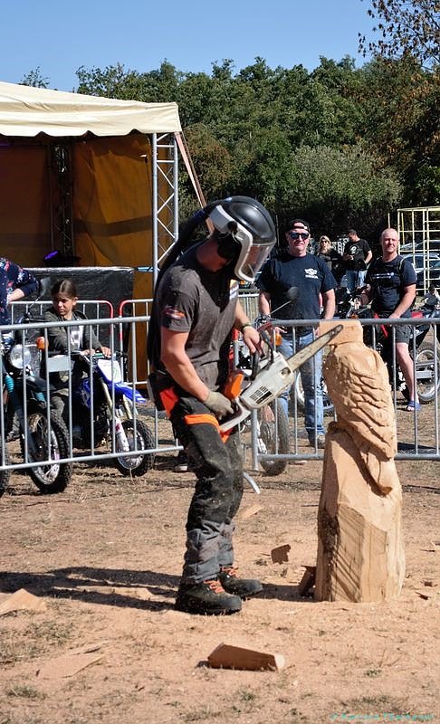 Emmenrausch am Stausee Kelbra