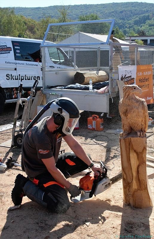 Emmenrausch am Stausee Kelbra