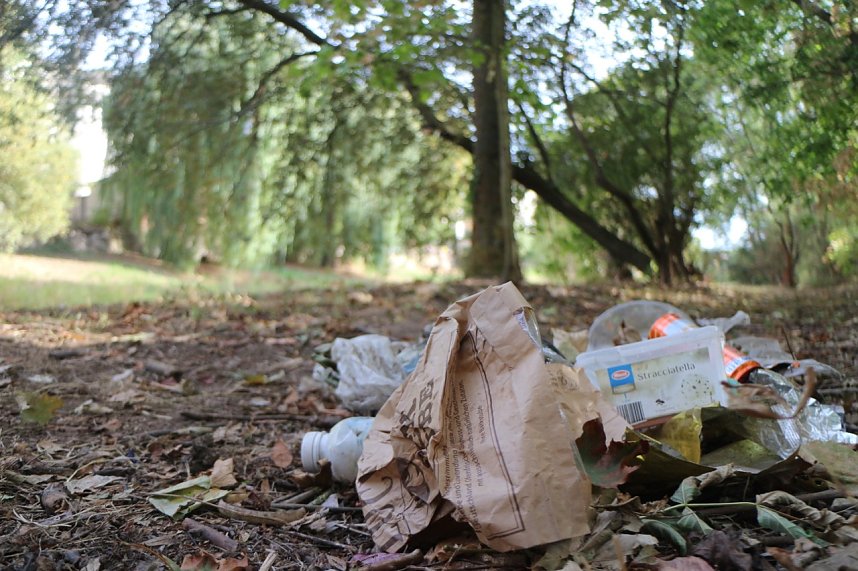 M&uuml;ll am Zorgeufer