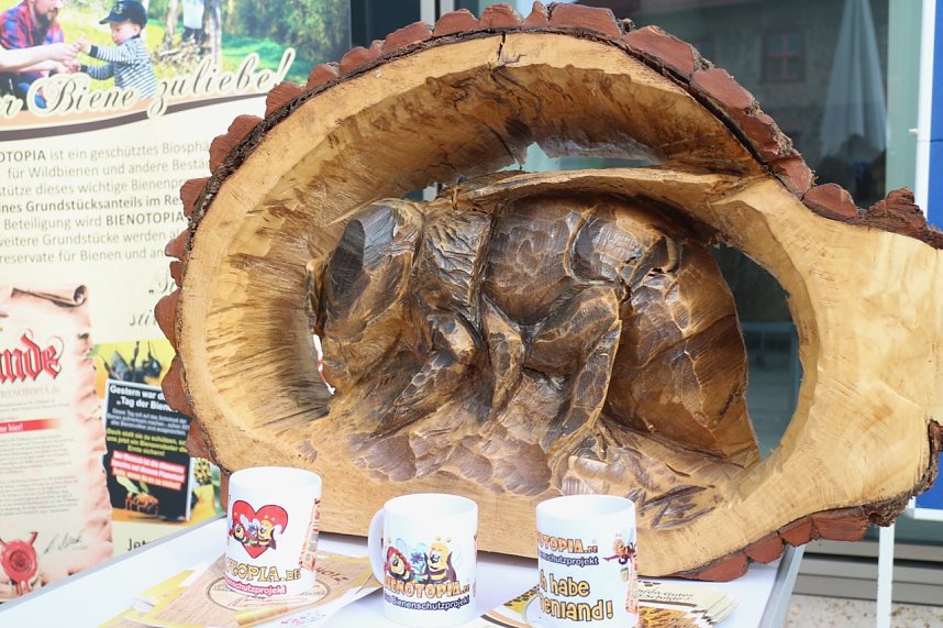 Zum Bibliothekstag drehte sich alles um flei&szlig;ige Bienen und s&uuml;&szlig;en Honig