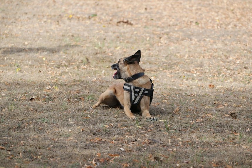 Tag der offenen T&uuml;r bei der Landespolizeiinspektion NOrdhausen