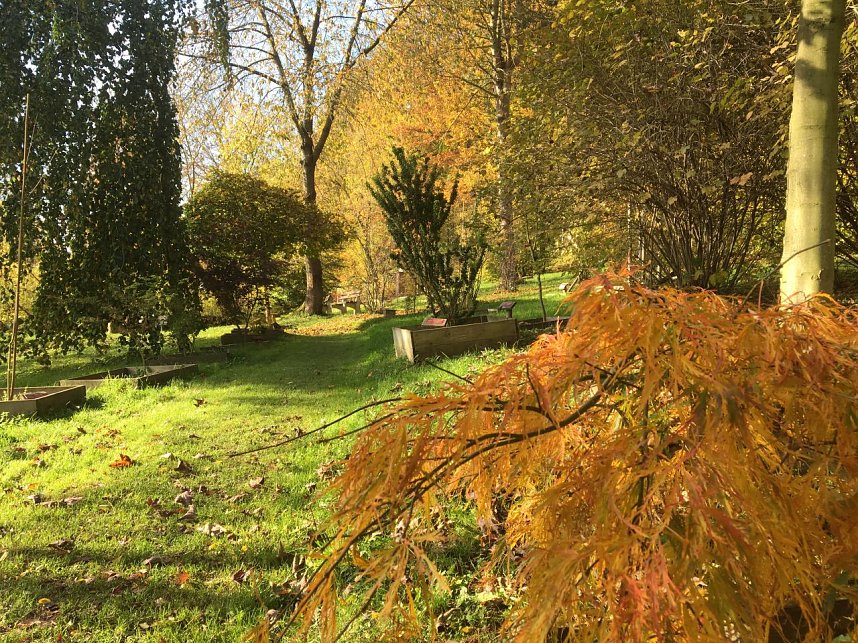 Mitbring-Party im Ahornpark Ilfeld