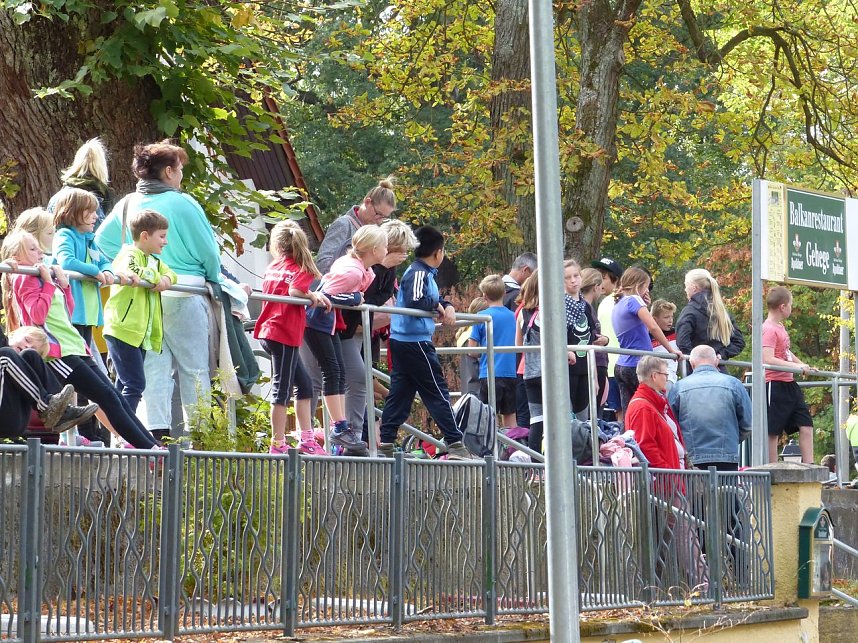 Herbstcross im Nordh&auml;user Gehege